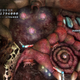 Illustration for article titled Alien Crush Returns – Space Venereal Disease Strikes WiiWare